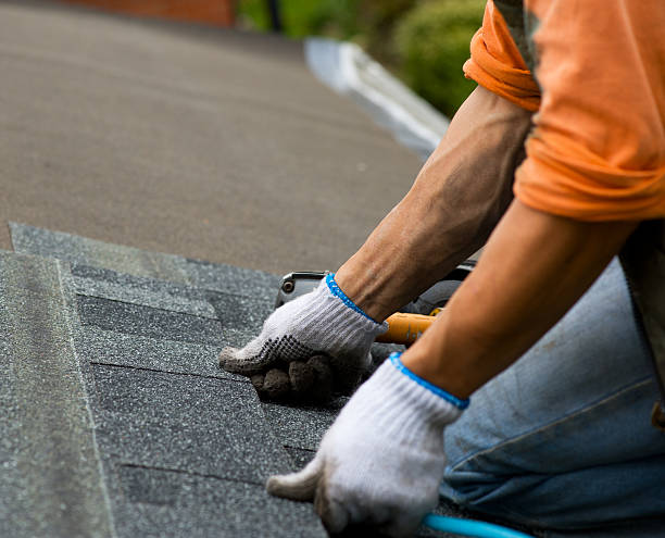 Best Shingle Roofing Installation  in Waycross, GA